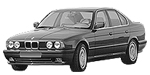 BMW E34 C20CA Fault Code